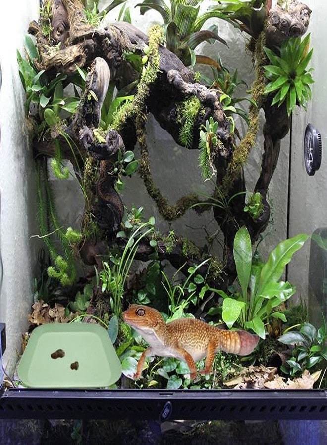 MAGNEECH 2 Pcs Leopard Gecko Potty Pad,Crested Gecko Potty Latrine，Leopard Gecko Tray，Reptile Litter Box，Portable Gecko Tank Accessories (Green) - Image 2